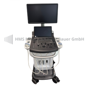 gebrauchtes Ultraschallgerät GE Versanda Balance mit Monitor, Steuerung uind Sonde